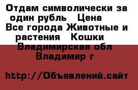 Отдам символически за один рубль › Цена ­ 1 - Все города Животные и растения » Кошки   . Владимирская обл.,Владимир г.